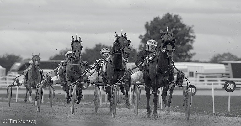 Harness racing 120708_7.jpg